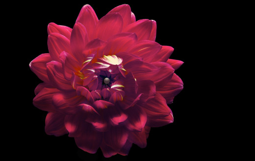 988495 (a): :2880x1824